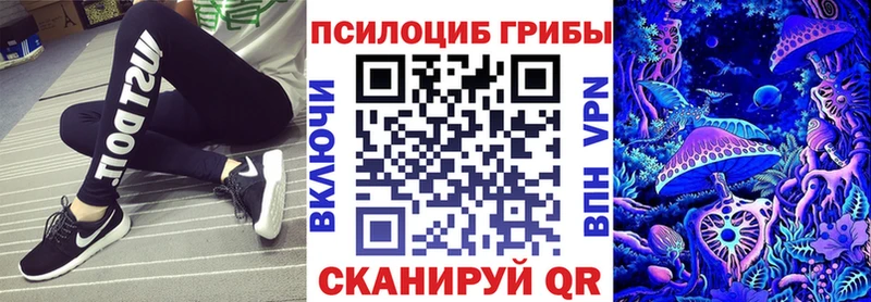 Псилоцибиновые грибы Cubensis  Кулебаки 