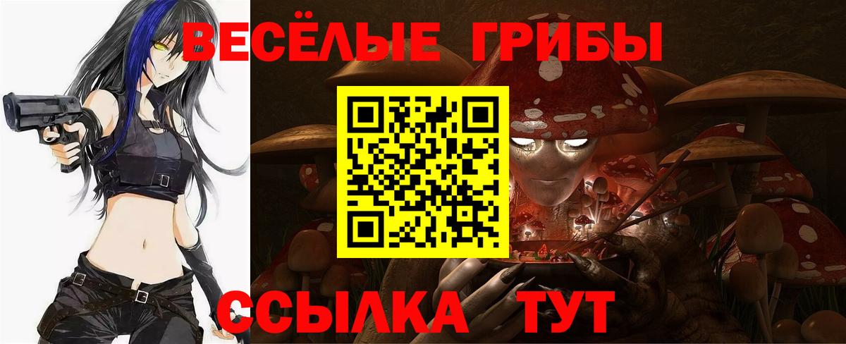 Кулебаки  Псилоцибиновые грибы прущие грибы  Вход с VPN 